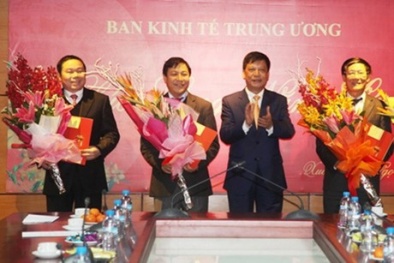 Bổ nhiệm 5 lãnh đạo Ban Kinh tế Trung ương